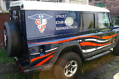 grafika na samochodach